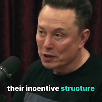 Elon Musk exposes California Democrat NGOs make a fortune off the homeless