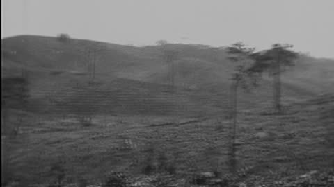 [FORD BRAZIL] - [FORD BRAZIL] - fc-fc-4059