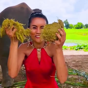 This girl catches elephant droppings