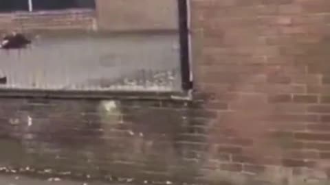 Islamic terrorist attack Manchester