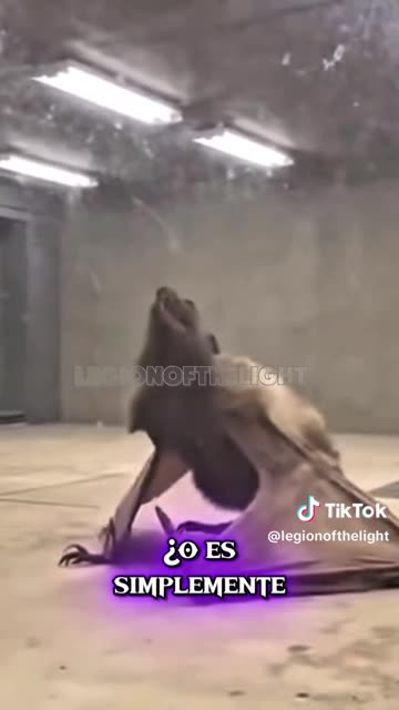 WHO IS THIS CREATURE ?! THIS CREATURE WAS FOUND BEFORE AI WAS IMPLEMENTED