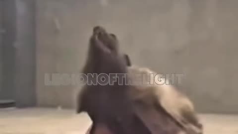 WHO IS THIS CREATURE ?! THIS CREATURE WAS FOUND BEFORE AI WAS IMPLEMENTED