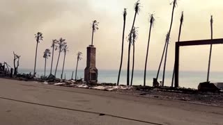 "Nature wins": Malibu surfer surveys damage from Palisades Fire