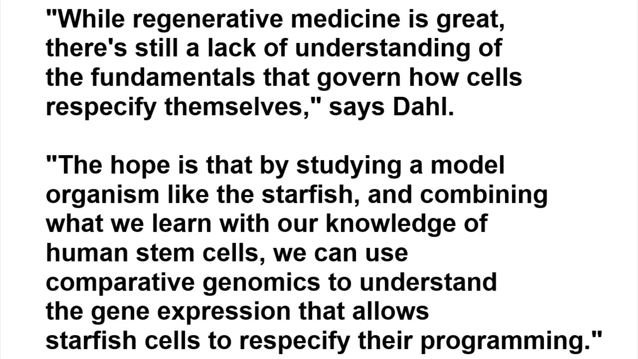 The Future of Human Healing Lies in the Brain of a Starfish