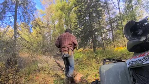 Off-Grid Firewood Harvesting – How I Prepare for Winter in Alaska | Sustainable Living