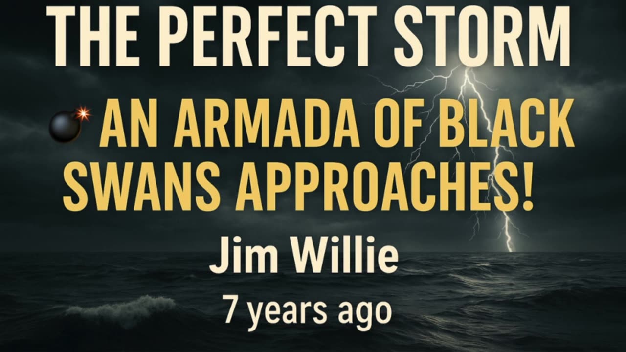 Multiple Black Swans Detected 🦢 Jim Willie Warns of Global Collapse!