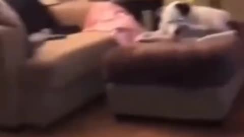 😱🔄 OK, This Got Flipped Out! Terrifying Moment Captured! | TheHauntingHour