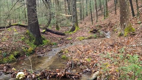 Unnamed Branch April 5, 2013