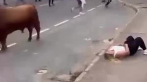 🐂😱 Bull Fight Chaos! Angry Bull Tosses People Into the Air | Terrifying Scene 😨🔥