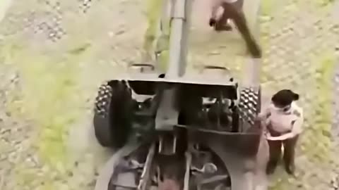 DEI is an absurd jewish fantasy that simply cannot work or be productive in the real world!