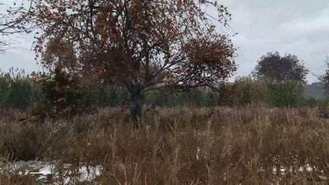 S3D33 | HOSTAGES RESCUED! Pox Ambush Backfires in EPIC Fishing Camp Siege | DayZ Livonia Organic RP