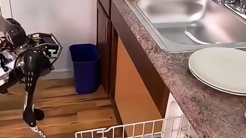 BOSTON DYNAMICS? Watch This Robot Dog Master the Stairs! 🤯