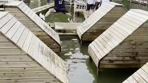 😄😄😄FUNNY VIDEOS😃😃😃