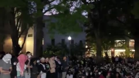 Some American universities look like Islamic caliphates.