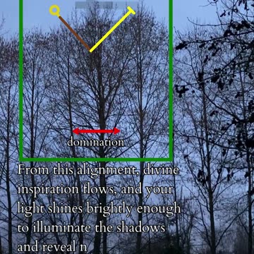 Don't Carry Too Much | Path and Tarot Reading