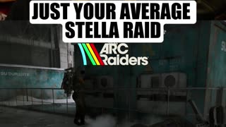 Average Stella Montis Raid..