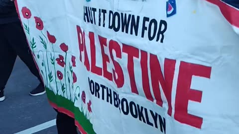 Marching on the International Day of Solidarity with the Palestinian People.