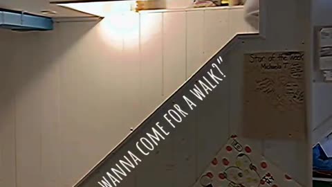 😱💀 This Scared Me | TheHauntingHour