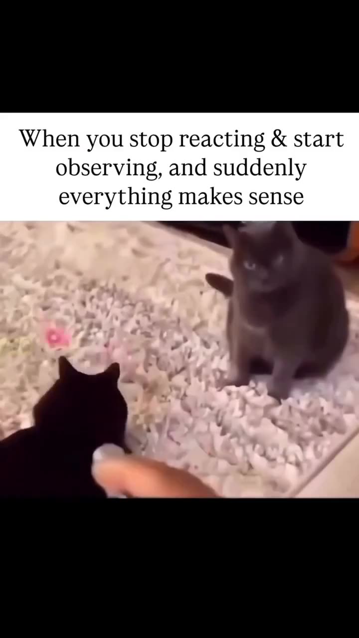 This is the reaction when you awaken to the game