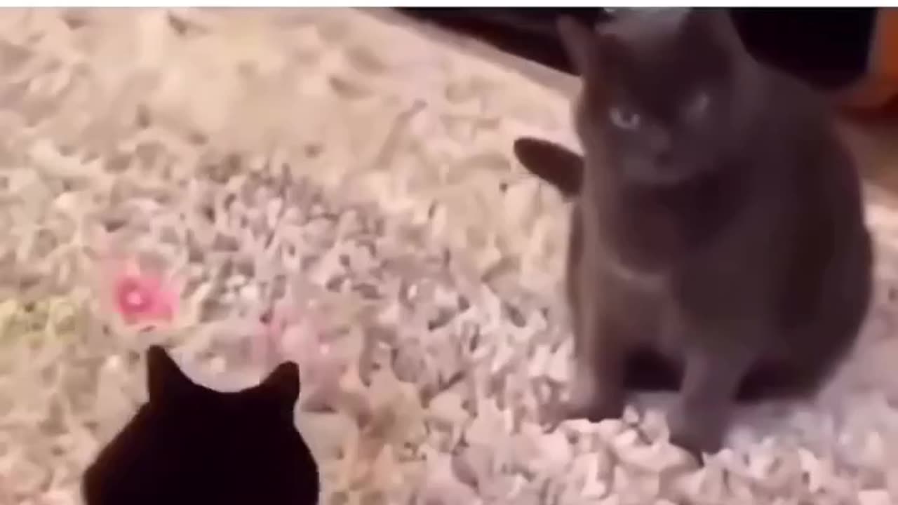 This is the reaction when you awaken to the game