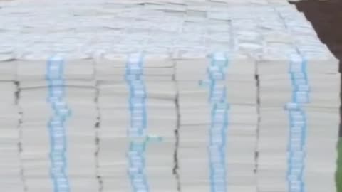 Mrbeast vs bleak 5,000,000 protect challenge in hindi reaction video