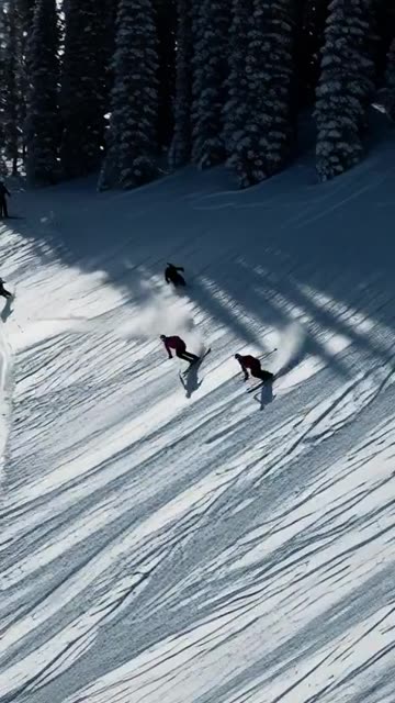 people skiing