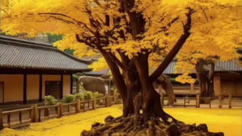 THE GENTLE WHISPER OF AMBIENT MUSIC CREATING A BREATHTAKING SYMPHONY OF NATURE