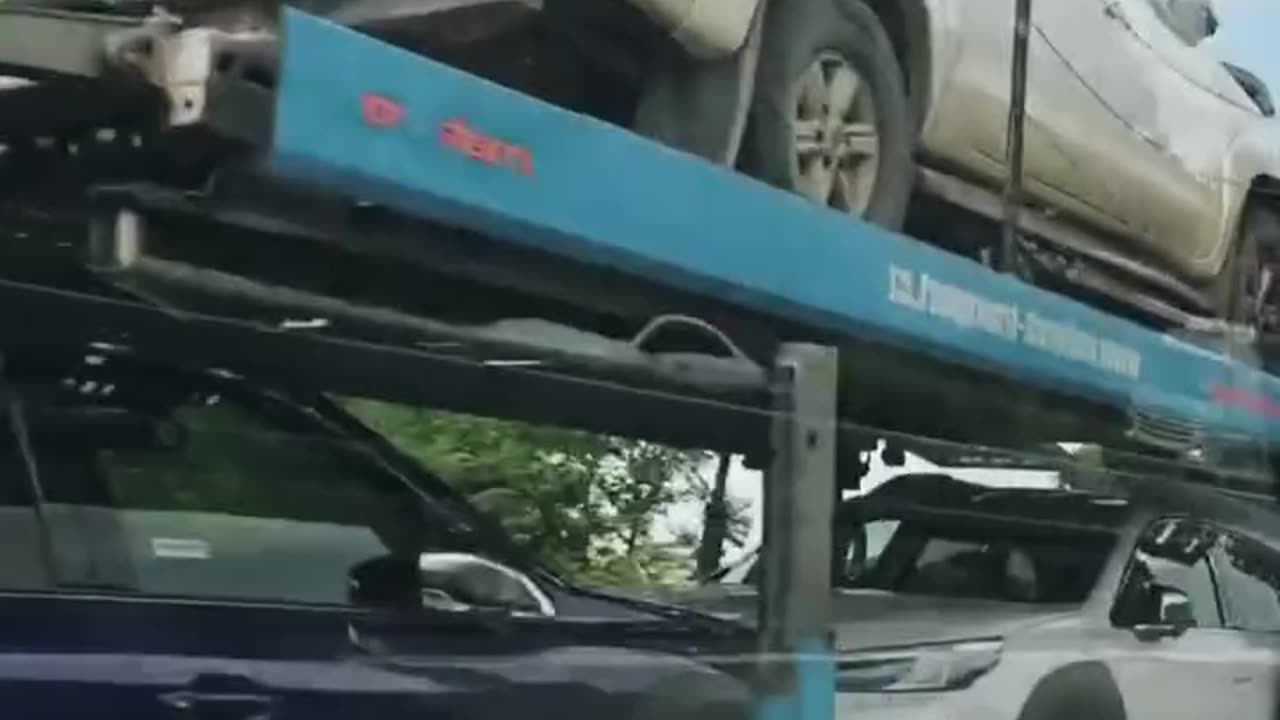 The GREAT Car Shipping Debate: DIY vs. Professional
