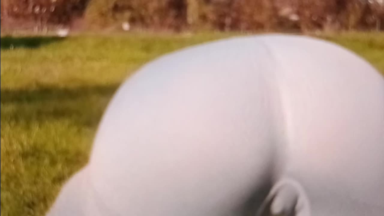 Hamstrings stretching outside