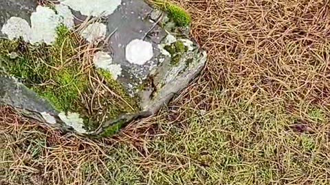 There are no individual things.