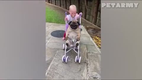 30 Minutes of Cutest Baby and Dog Friendships Ever! 🐶👶❤️