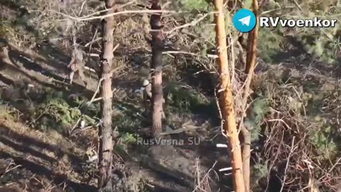 Ukraine war combat footage 10/6/25