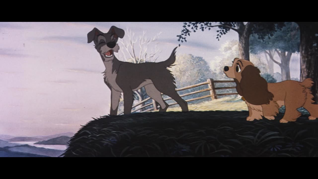 Lady and the Tramp (1955) 35mm