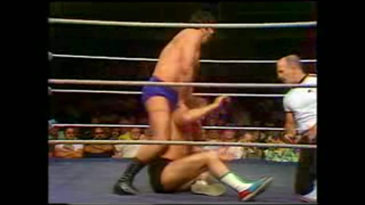 9-13-80 WWF All Star Wrestling