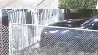 😱💰 Thieves in NYC (Two Dressed as Construction Workers) Steal $3M Jewelry! | FunFM