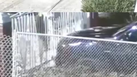 😱💰 Thieves in NYC (Two Dressed as Construction Workers) Steal $3M Jewelry! | FunFM