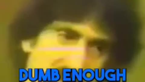 Frank Zappa about school.