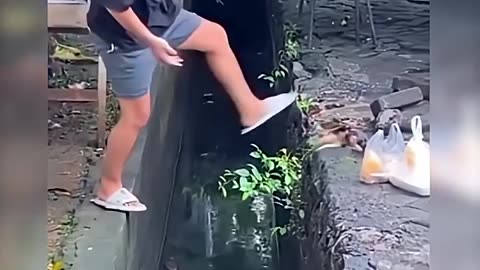 TENTE NÃO RIR💀😂