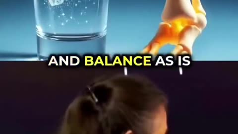 What are bones made of?
