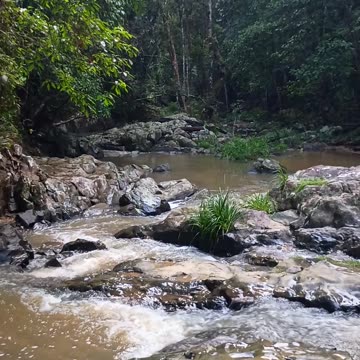 22.12.2024 Jum Rum Creek (1)