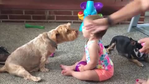 Cutest Babies Play With Dogs And Cats Compilation