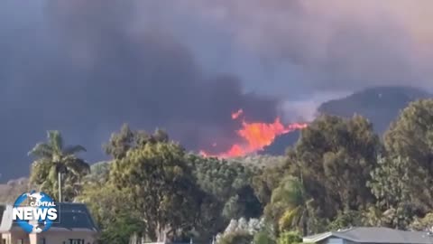 LA Wildfire Caught on Camera