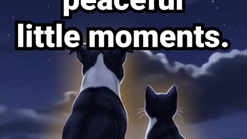 Subscribe for more peaceful little moments #wellbeing, #hiphopbeats, #concentrationmusic