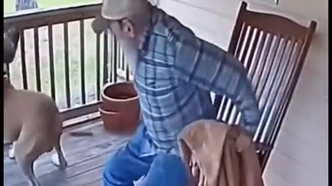 Pitbull protect Man from Wild Bear