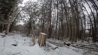 ❄️2025⛷️Winter💘 Hiking ☃️ Stony Swamp Trails Part 2 in Ottawa ⛷️❄️⛄ Canada 🍁