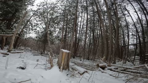 ❄️2025⛷️Winter Hiking⛄ Welcome To Stony Swamp Trails Part 2 in Ottawa ⛷️❄️⛄ Canada 🍁