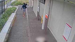 Hunt for ‘tanned’ thug who attacked five strangers in Brisbane