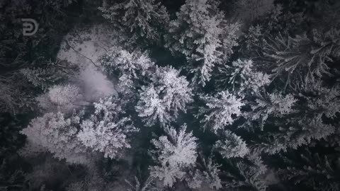 Aligning With God's Priorities | Derek Prince