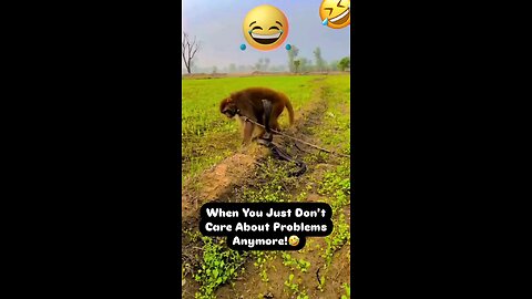 more problem zero panic