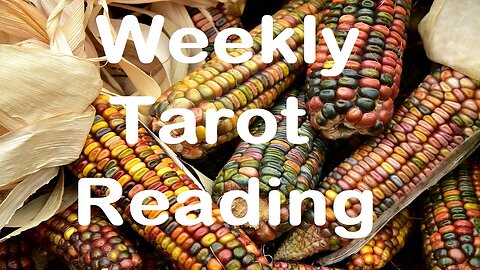 Weekly Tarot Reading All Signs Tap Into Tarot November 3 - 9